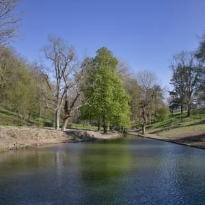 Section image