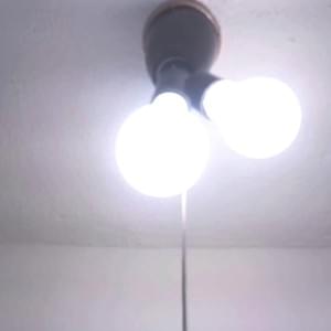 電球交換・照明取付 電球交換・照明取付