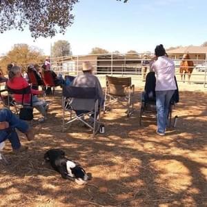 Auditors at a Harry  clinic hosted by Kim Bowline, Copperopolis, Ca Auditors at a Harry  clinic hosted by Kim Bowline, Copperopolis, Ca