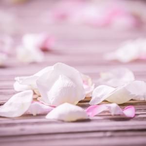 Photographe mariage à dole , photographe mariage dole, meilleurs photographes de dole, photographe pour mon mariage,,