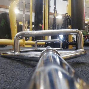 Professzionális súlyzós rudak a Pleasuredome-ban Professzionális súlyzós rudak a Pleasuredome-ban