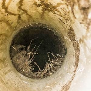 Commercial maintenance Commercial maintenance