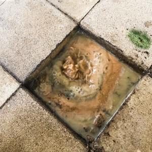 property maintenance property maintenance