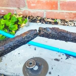 property maintenance property maintenance