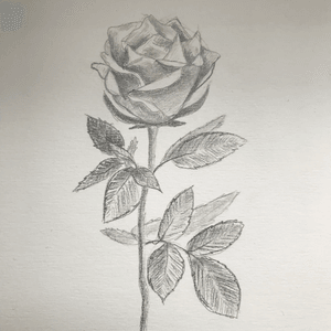 Rose - détail  Rose - détail