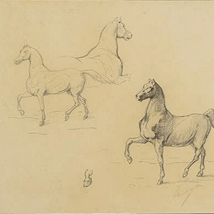 Prince Ferdinand Philippe d'Orléans, duc d'Alençon (1844 - 1910) Prince Ferdinand Philippe d'Orléans, duc d'Alençon (1844 - 1910)