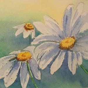 Marguerites  - VENDU Marguerites  - VENDU