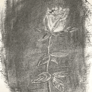 Rose - Clair Obscur 1  Rose - Clair Obscur 1