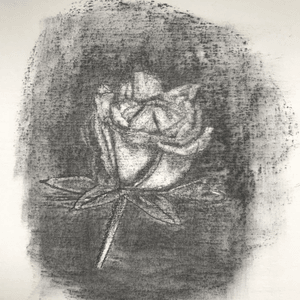 Rose - Clair Obscur 2  Rose - Clair Obscur 2