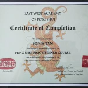 SFT Feng Shui certification 2011