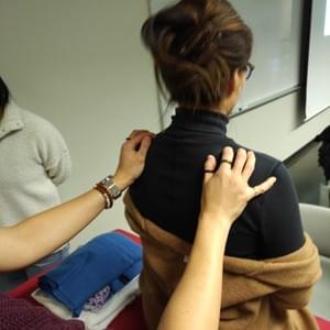 Hands-on demonstrations and practical learning in the foundations of Balance Method / System Acupuncture.