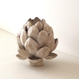 Opening Lotus Opening Lotus