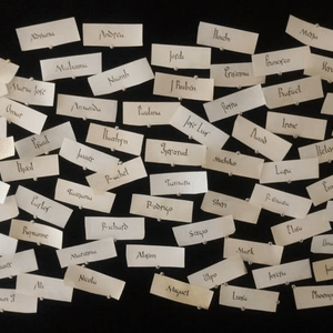 SELIM31 name tags in Visigothic script on parchment SELIM31 name tags in Visigothic script on parchment