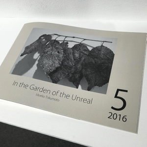 In the Garden of the Unreal 5.2016 In the Garden of the Unreal 5.2016