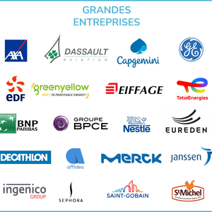 GRANDES ENTREPRISES