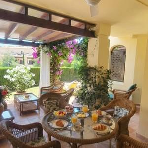 Large sunny terrace Large sunny terrace