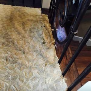 Damaged Carpet Installation Damaged Carpet Installation