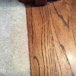 Pet Damaged Carpet SAVED Pet Damaged Carpet SAVED