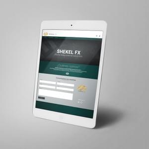 SHEKEL FX Investments SHEKEL FX Investments