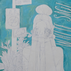 Dream #264. White Sage. Pencil & acrylic on paper. 9x 12" in Dream #264. White Sage. Pencil & acrylic on paper. 9x 12" in