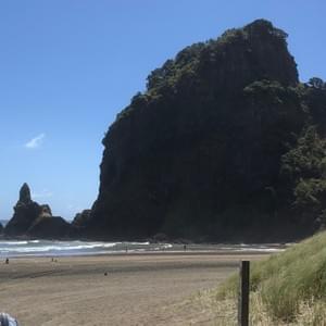 Section image