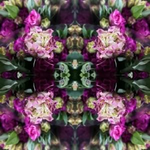 Elizabethe Elizabethe