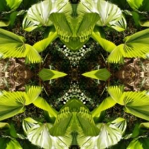 Perfect Lines / Felipe José Perfect Lines / Felipe José