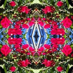 Carol Ligabue Carol Ligabue