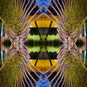 Pequi/Loira Pequi/Loira