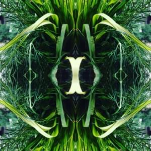 Banho de axé Banho de axé