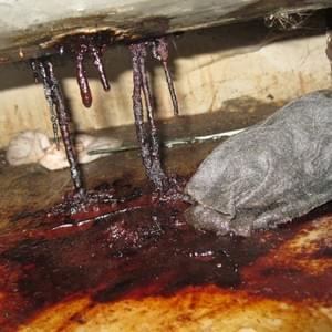 Leaking Heating OIl Tank Leaking Heating OIl Tank