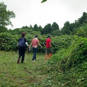 Section image