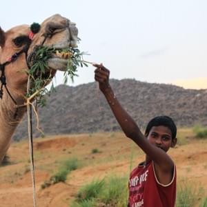 "I started to work with camels I was 7 years old, I’m 12. I am used to travel inside the desert, walk a lot a lot. I want to become a fighter pilot. Well ... for now ... I drive a camel called Johnny, this is not the glory but perhaps I could set aside enough money to realize my dream one day."