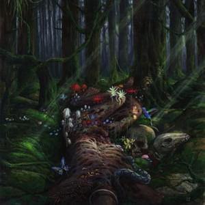 autosarcophagy-DOLOR autosarcophagy-DOLOR