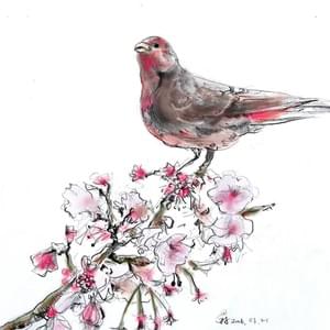 by 花羽(IG@whatfeather)