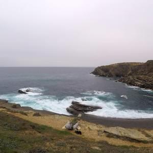 Section image