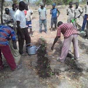 les premiers semis les premiers semis