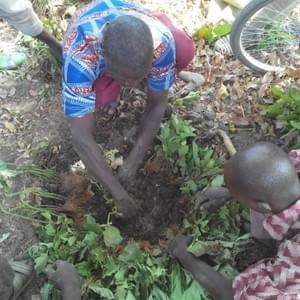 Le maraichage à Pro Le maraichage à Pro