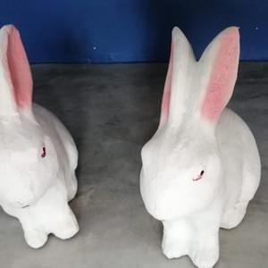 www-houseofharmony-lk-ayurveda-massage-spa www-houseofharmony-lk-ayurveda-massage-spa