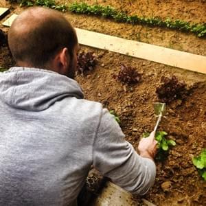 Potager - Yellow Events Potager - Yellow Events