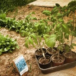 Potager - Yellow Events Potager - Yellow Events