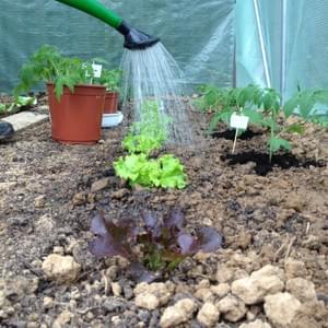 Potager - Yellow Events Potager - Yellow Events