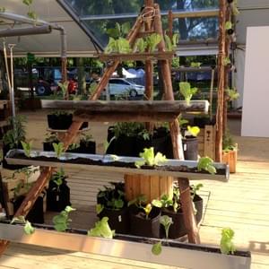 Potager urbain Potager urbain