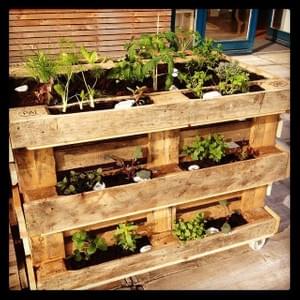 Potager à roulettes Potager à roulettes