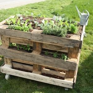 Potager à roulettes Potager à roulettes