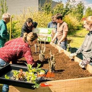Potager - IBA Potager - IBA