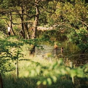 Paddle, dunk, swim on our wild stretch of Arkle Beck