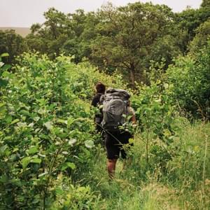 The hike to Pine Island...