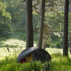 Nestled away on Pine Island