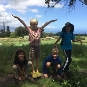 Pono Grown, Kula,Maui, Hawaii Pono Grown, Kula,Maui, Hawaii